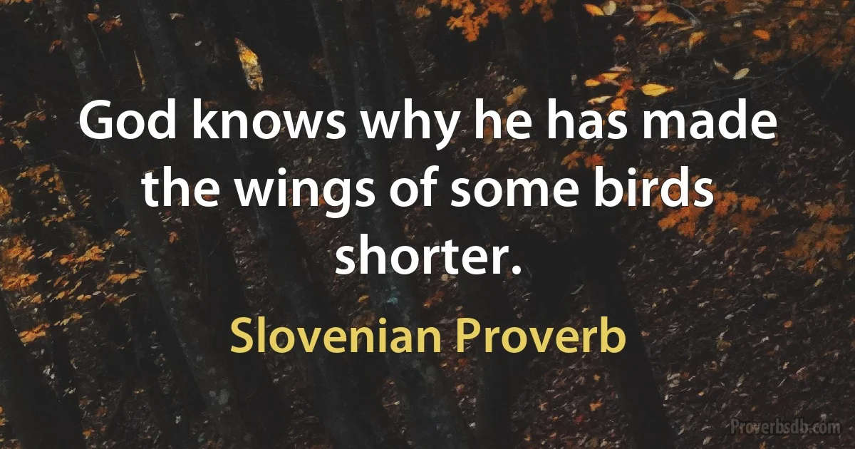 God knows why he has made the wings of some birds shorter. (Slovenian Proverb)