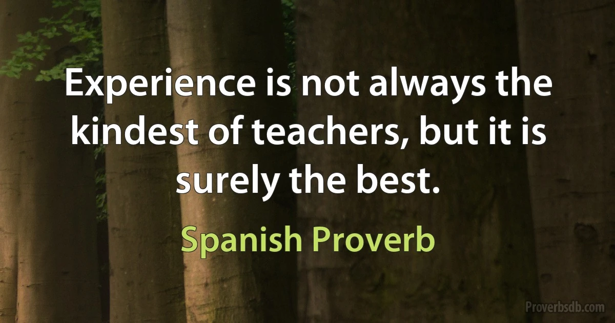 Experience is not always the kindest of teachers, but it is surely the best. (Spanish Proverb)