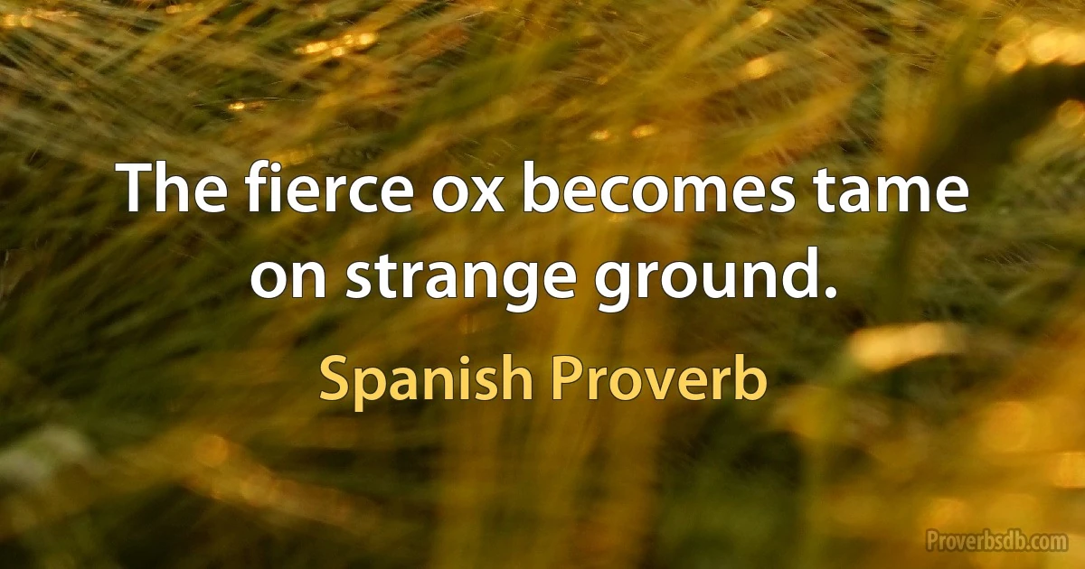 The fierce ox becomes tame on strange ground. (Spanish Proverb)