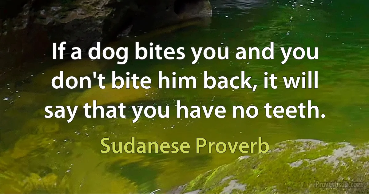 If a dog bites you and you don't bite him back, it will say that you have no teeth. (Sudanese Proverb)