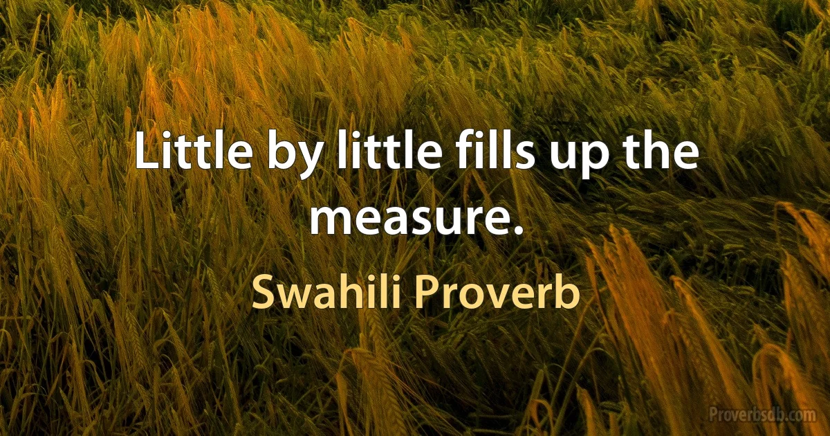 Little by little fills up the measure. (Swahili Proverb)