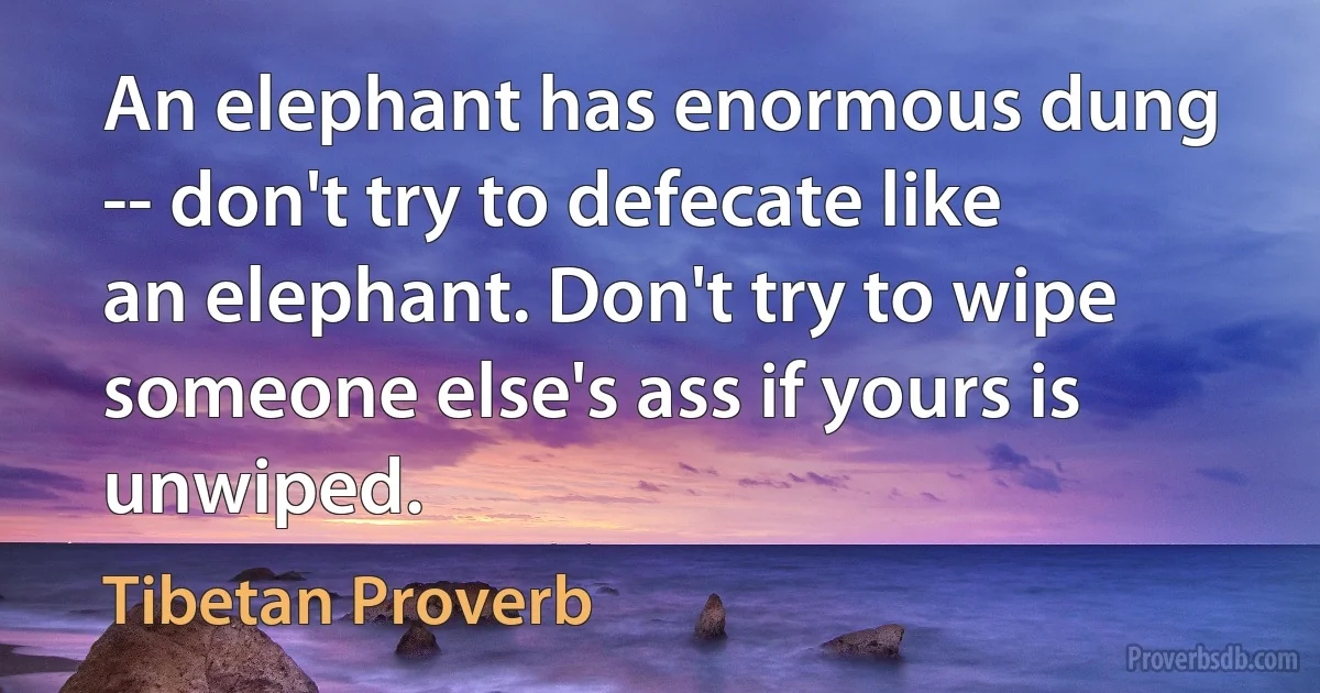 An elephant has enormous dung -- don't try to defecate like an elephant. Don't try to wipe someone else's ass if yours is unwiped. (Tibetan Proverb)