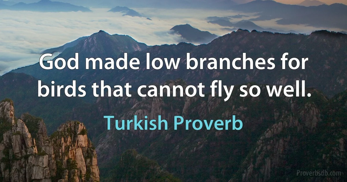 God made low branches for birds that cannot fly so well. (Turkish Proverb)