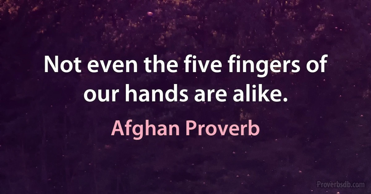 Not even the five fingers of our hands are alike. (Afghan Proverb)