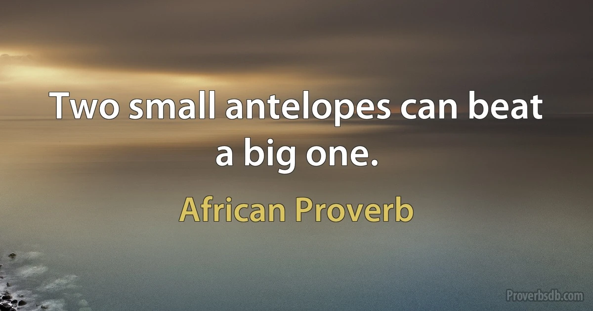 Two small antelopes can beat a big one. (African Proverb)