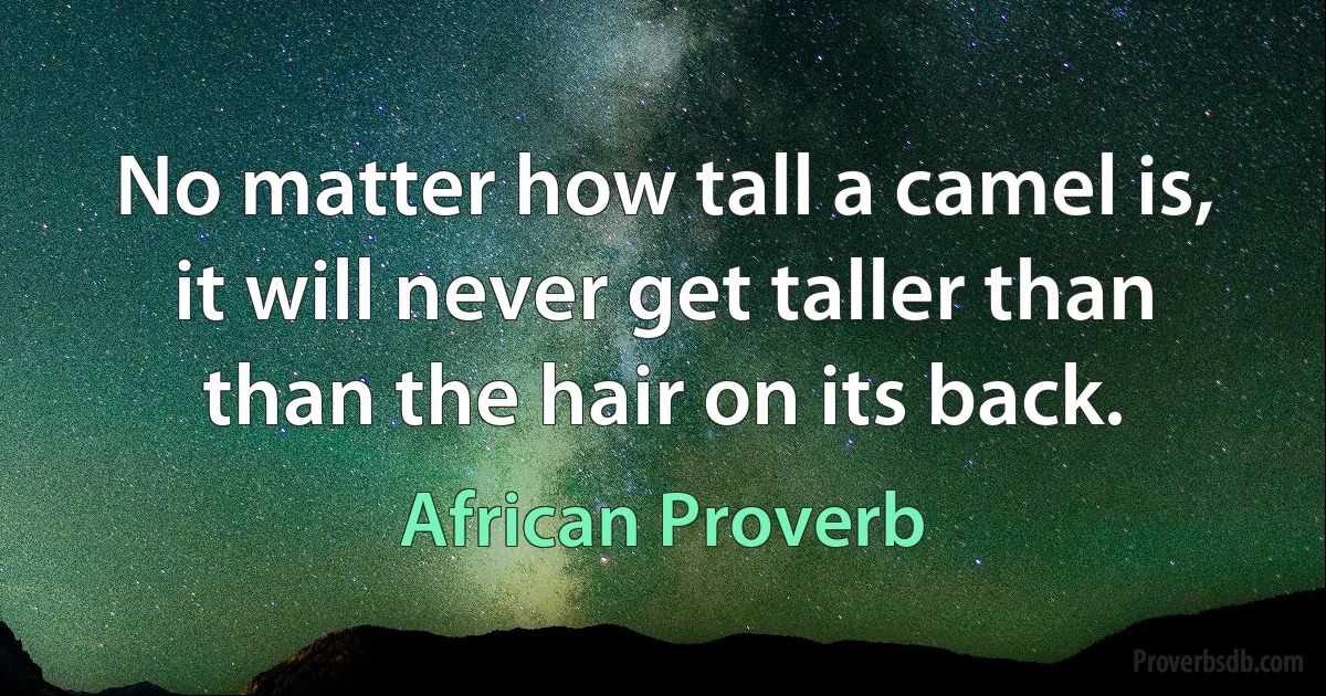 No matter how tall a camel is, it will never get taller than than the hair on its back. (African Proverb)