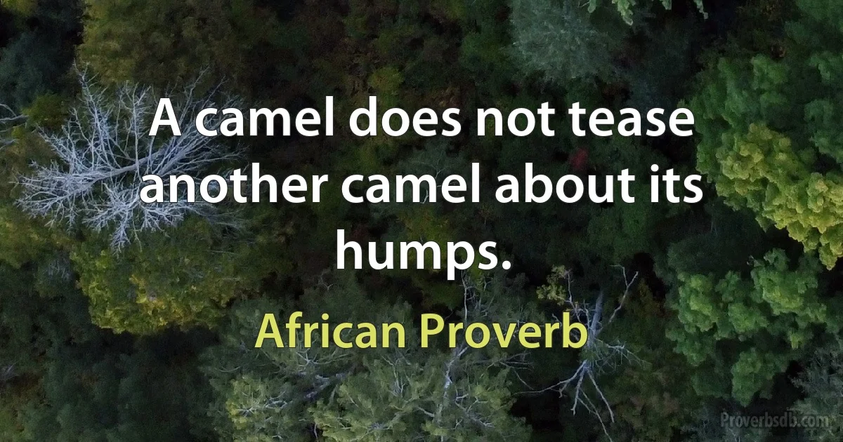 A camel does not tease another camel about its humps. (African Proverb)