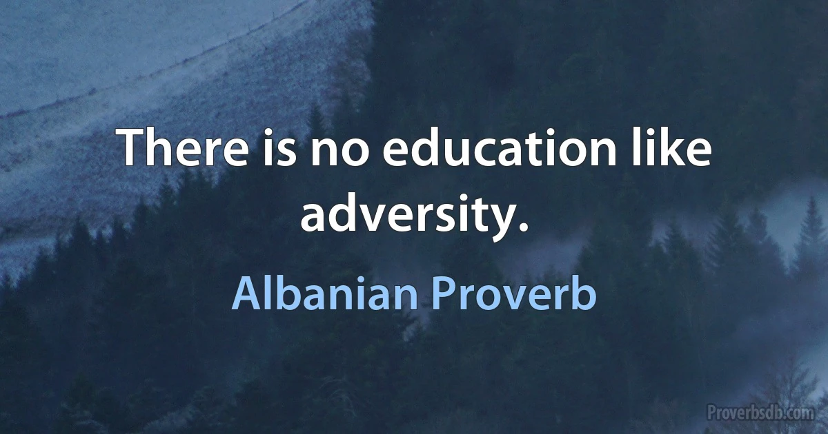 There is no education like adversity. (Albanian Proverb)