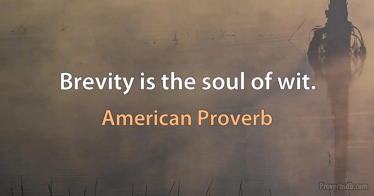 Brevity is the soul of wit. (American Proverb)