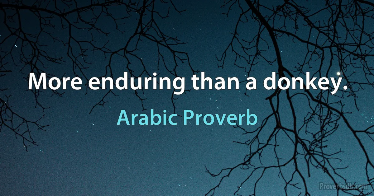 More enduring than a donkey. (Arabic Proverb)