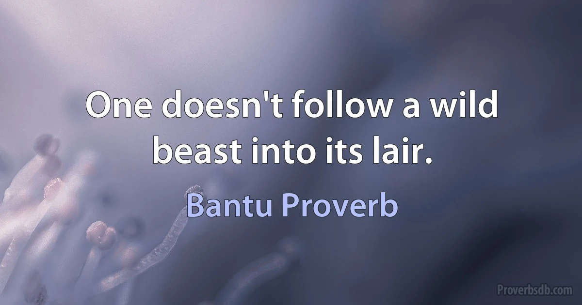 One doesn't follow a wild beast into its lair. (Bantu Proverb)