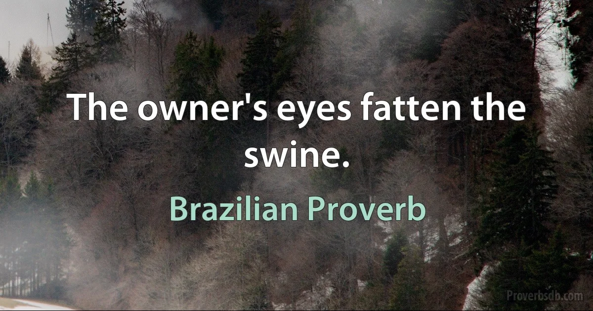 The owner's eyes fatten the swine. (Brazilian Proverb)