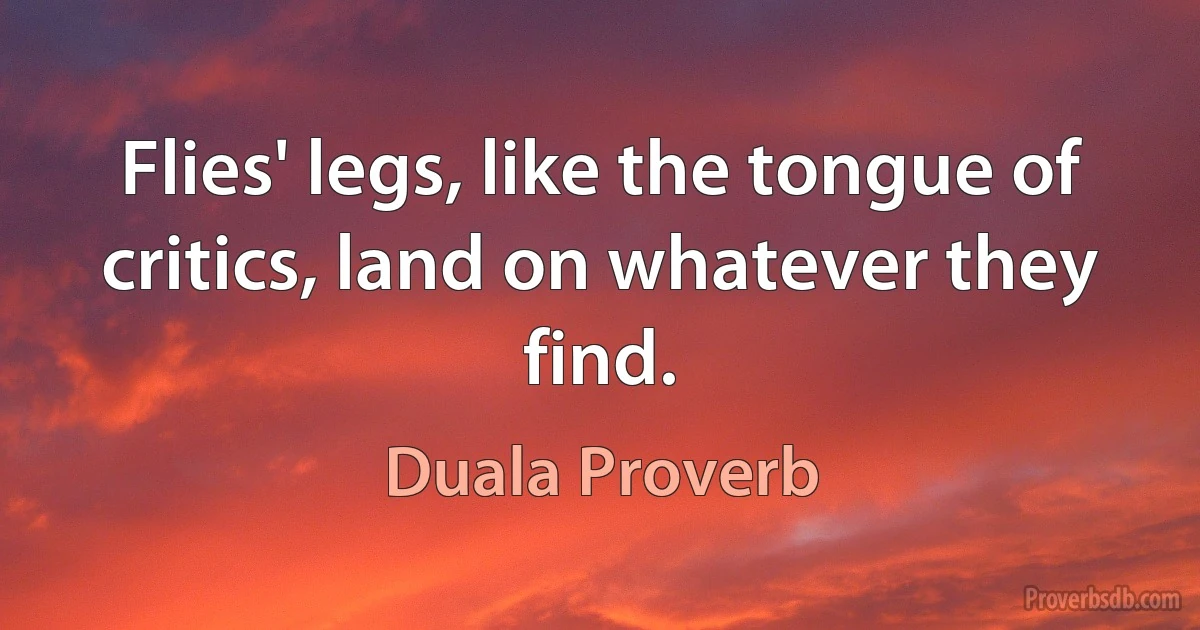 Flies' legs, like the tongue of critics, land on whatever they find. (Duala Proverb)