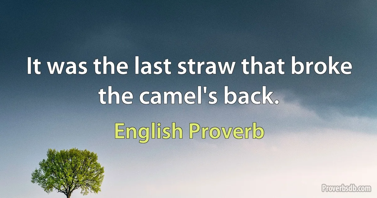 It was the last straw that broke the camel's back. (English Proverb)