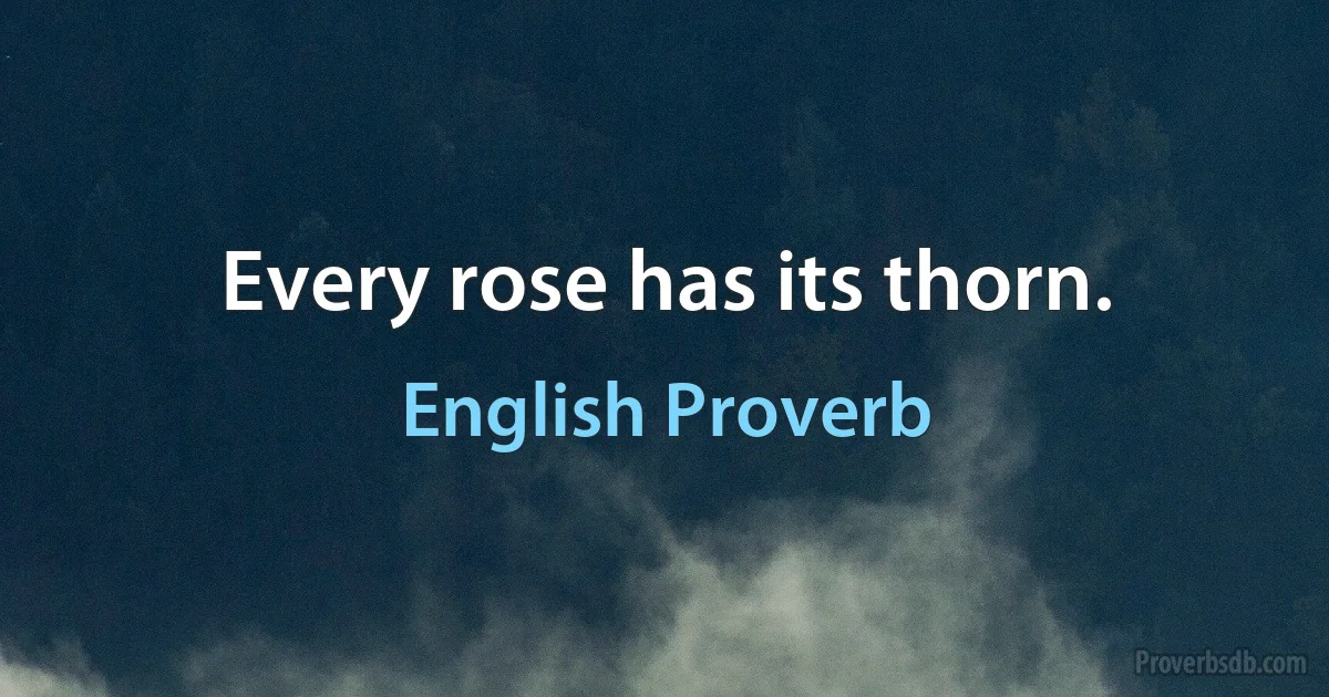 Every rose has its thorn. (English Proverb)