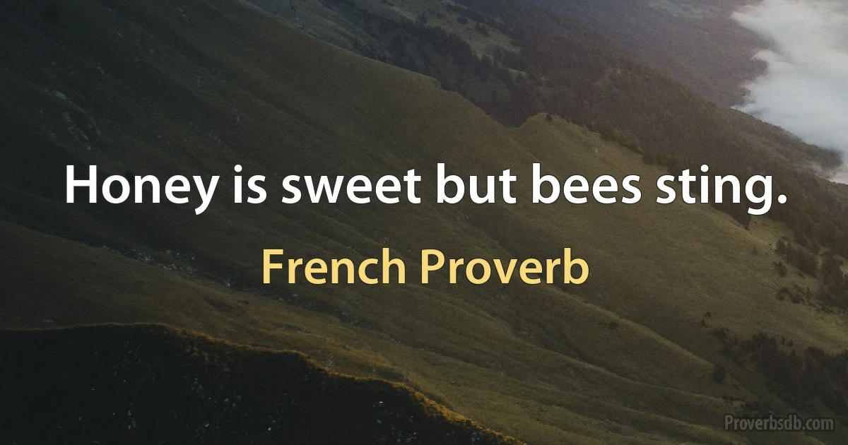 Honey is sweet but bees sting. (French Proverb)