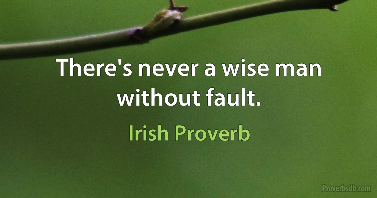 There's never a wise man without fault. (Irish Proverb)