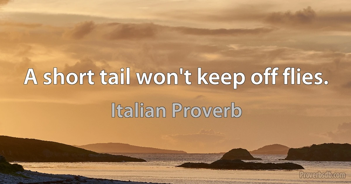 A short tail won't keep off flies. (Italian Proverb)