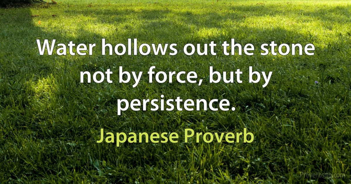 Water hollows out the stone not by force, but by persistence. (Japanese Proverb)