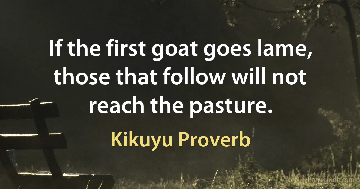 If the first goat goes lame, those that follow will not reach the pasture. (Kikuyu Proverb)