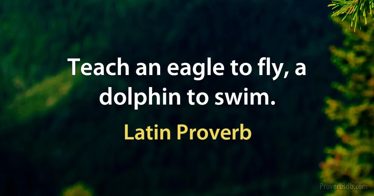 Teach an eagle to fly, a dolphin to swim. (Latin Proverb)