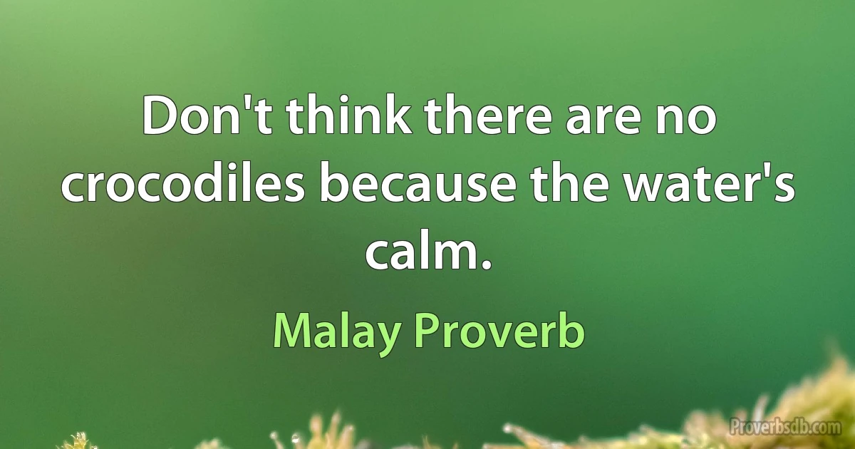 Don't think there are no crocodiles because the water's calm. (Malay Proverb)