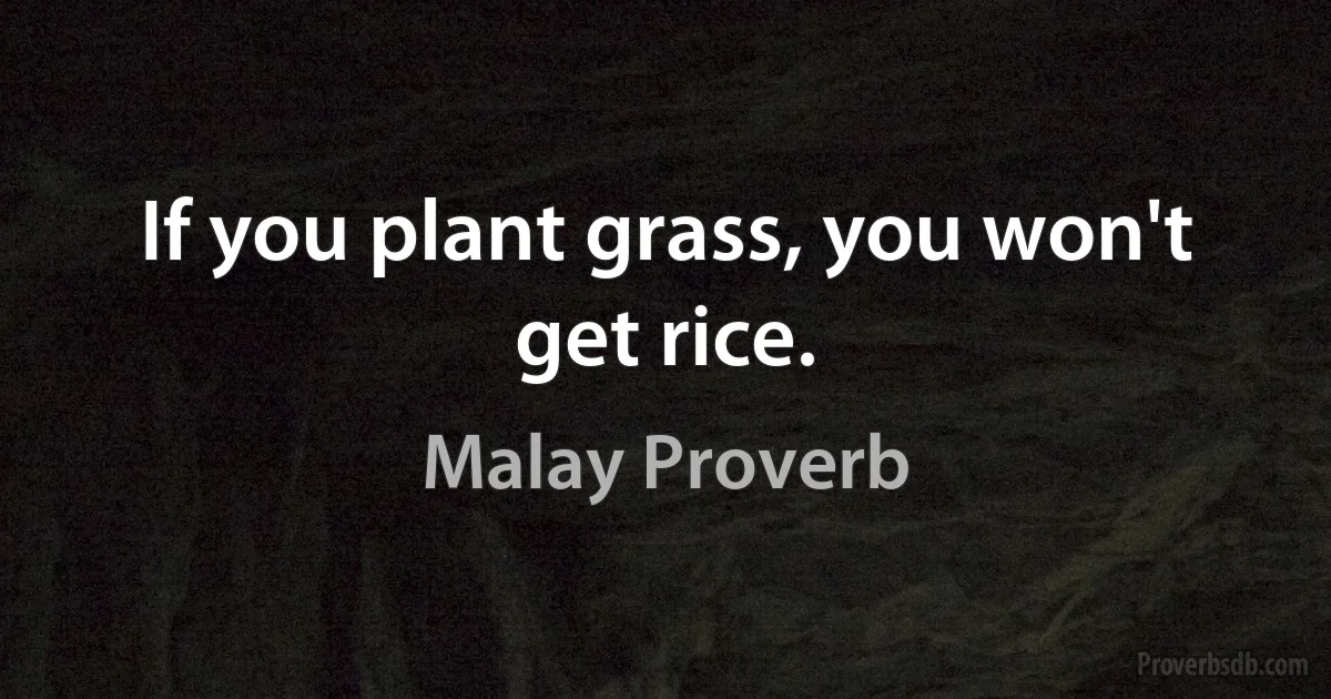 If you plant grass, you won't get rice. (Malay Proverb)