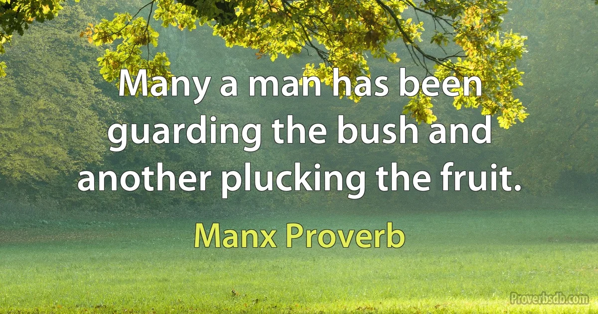 Many a man has been guarding the bush and another plucking the fruit. (Manx Proverb)