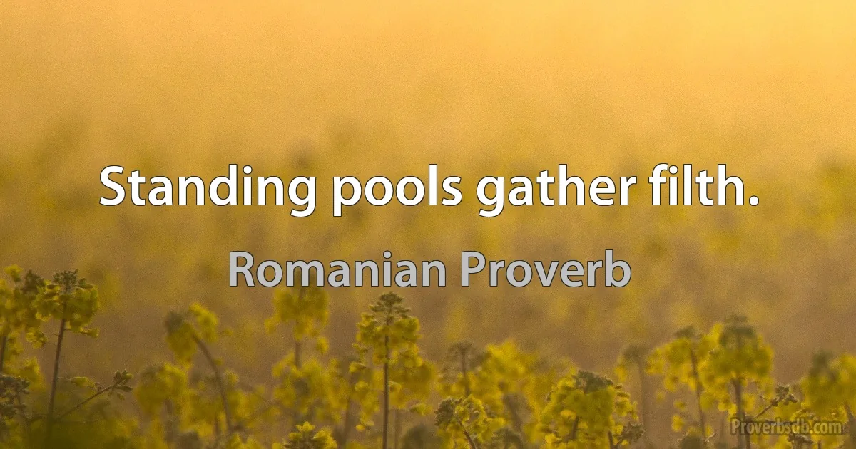 Standing pools gather filth. (Romanian Proverb)