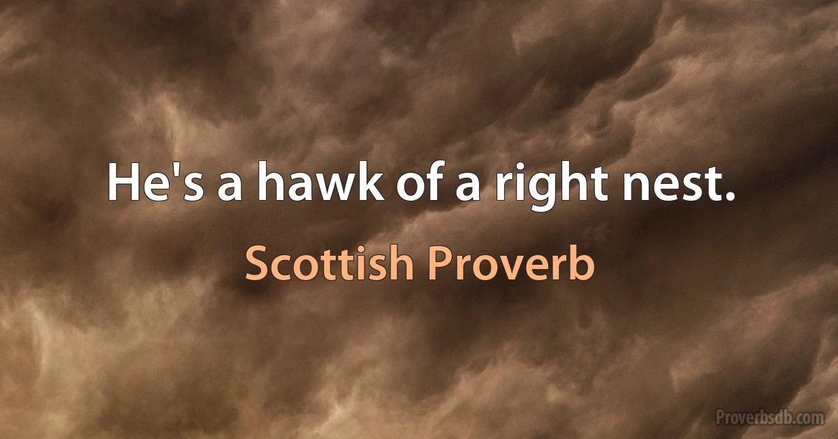 He's a hawk of a right nest. (Scottish Proverb)