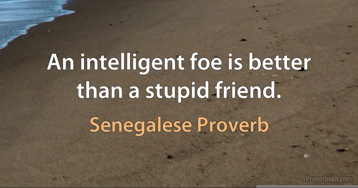 An intelligent foe is better than a stupid friend. (Senegalese Proverb)