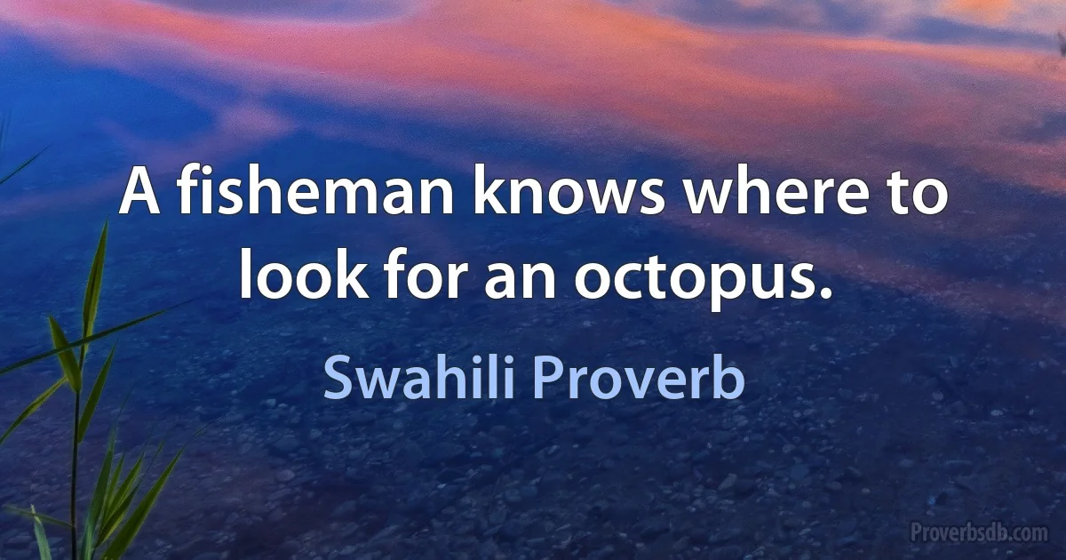 A fisheman knows where to look for an octopus. (Swahili Proverb)