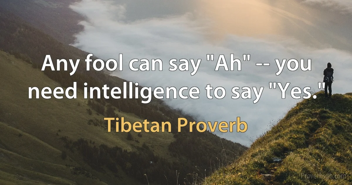 Any fool can say "Ah" -- you need intelligence to say "Yes." (Tibetan Proverb)