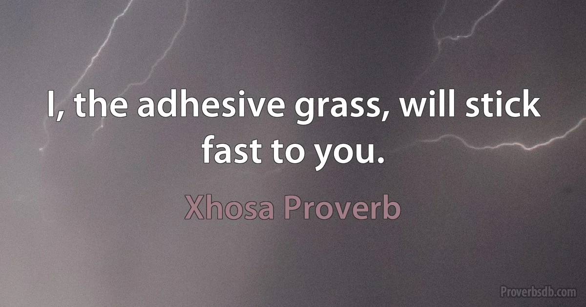 I, the adhesive grass, will stick fast to you. (Xhosa Proverb)