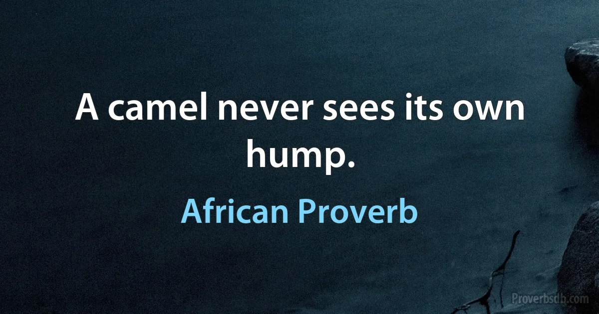 A camel never sees its own hump. (African Proverb)