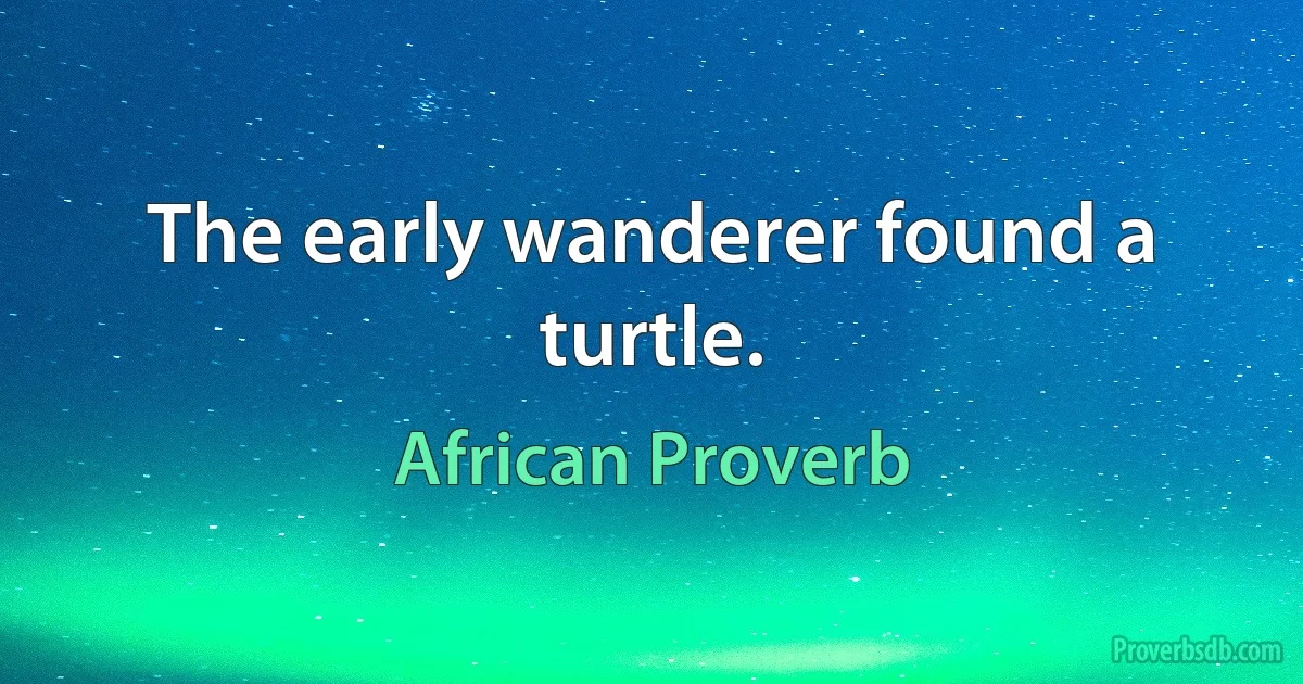 The early wanderer found a turtle. (African Proverb)