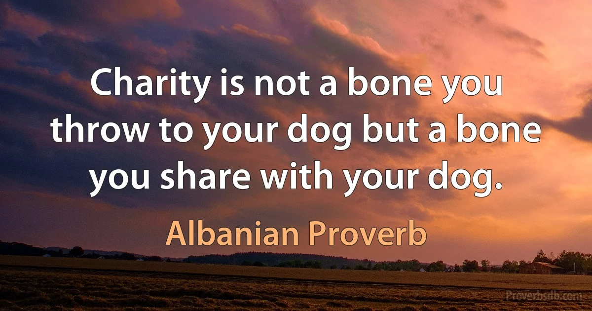 Charity is not a bone you throw to your dog but a bone you share with your dog. (Albanian Proverb)