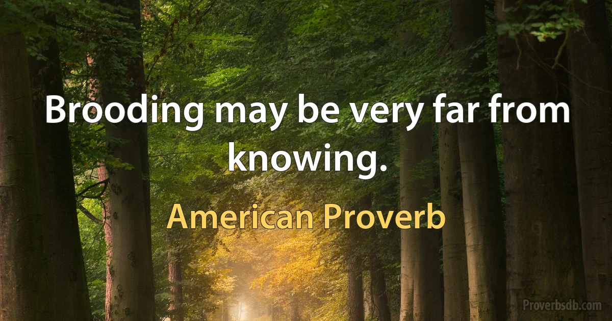 Brooding may be very far from knowing. (American Proverb)