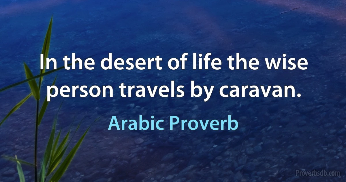 In the desert of life the wise person travels by caravan. (Arabic Proverb)