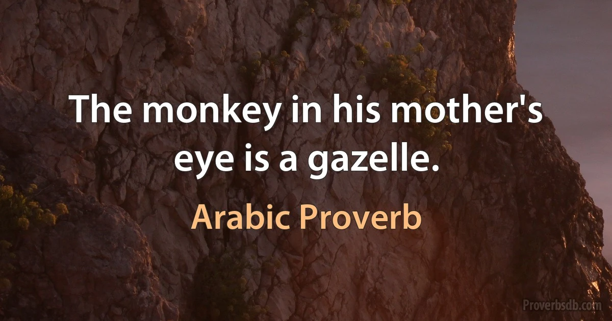 The monkey in his mother's eye is a gazelle. (Arabic Proverb)