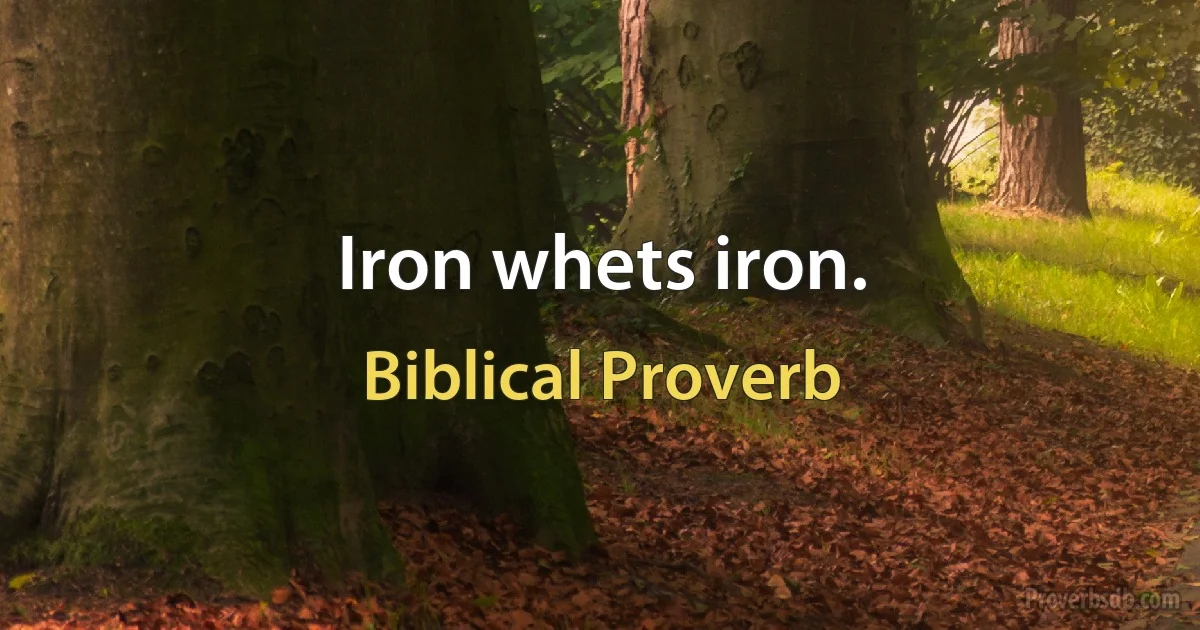 Iron whets iron. (Biblical Proverb)