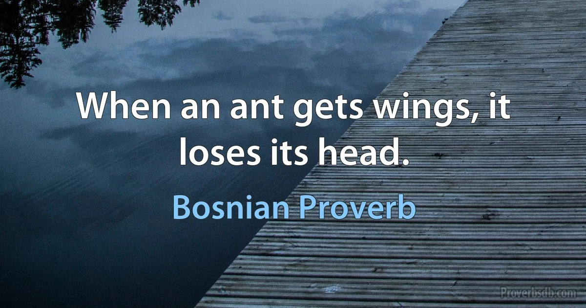 When an ant gets wings, it loses its head. (Bosnian Proverb)