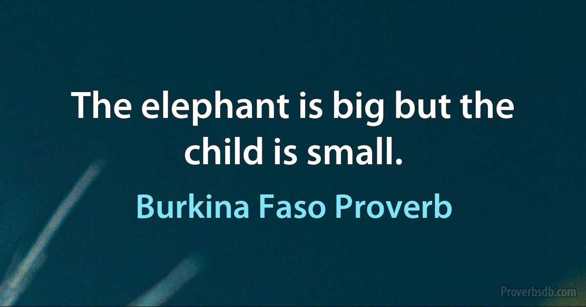 The elephant is big but the child is small. (Burkina Faso Proverb)