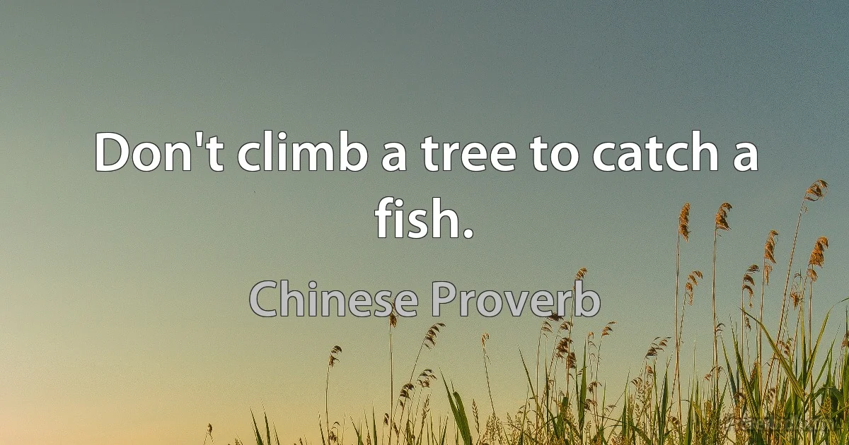 Don't climb a tree to catch a fish. (Chinese Proverb)