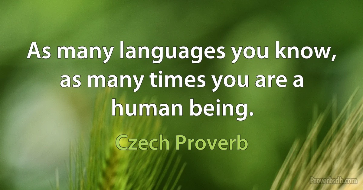 As many languages you know, as many times you are a human being. (Czech Proverb)