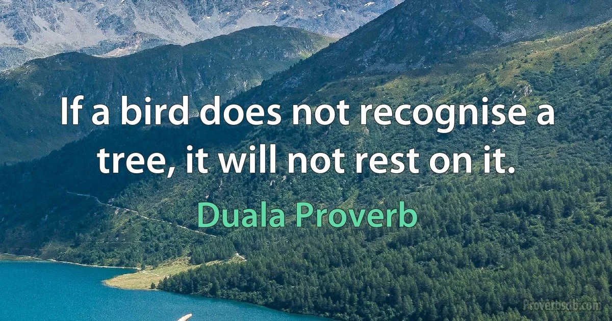 If a bird does not recognise a tree, it will not rest on it. (Duala Proverb)