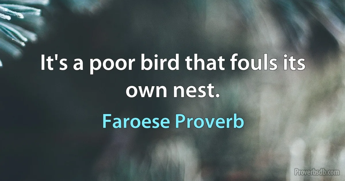 It's a poor bird that fouls its own nest. (Faroese Proverb)