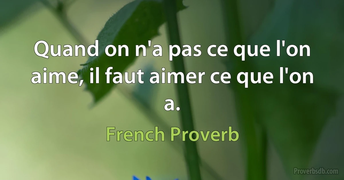 Quand on n'a pas ce que l'on aime, il faut aimer ce que l'on a. (French Proverb)