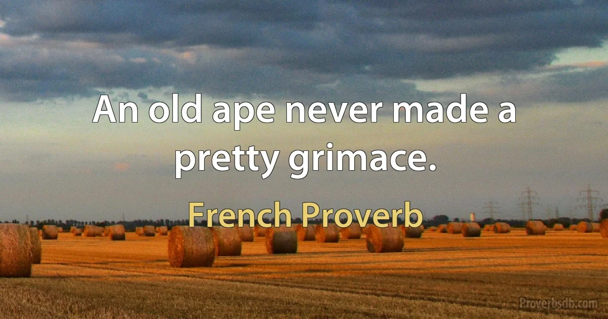 An old ape never made a pretty grimace. (French Proverb)