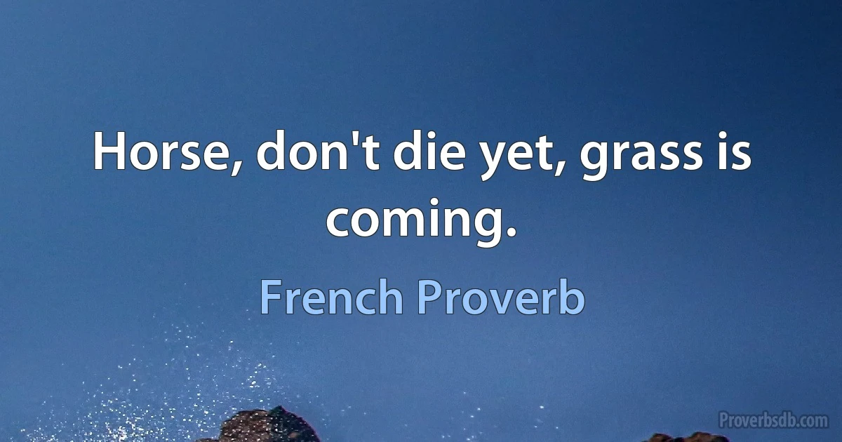 Horse, don't die yet, grass is coming. (French Proverb)